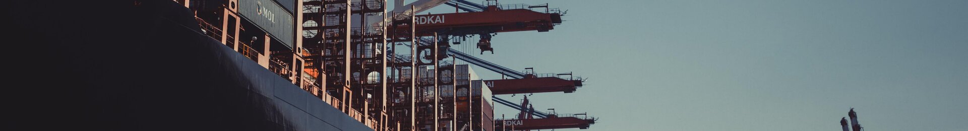 Containerschiff am Terminal mit Verladekränen